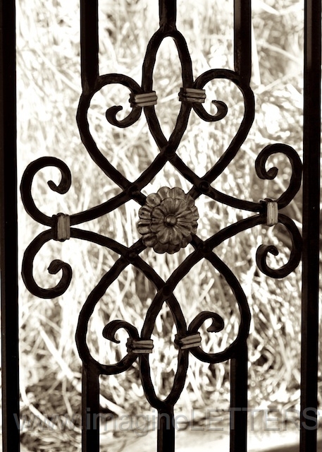 Wall_Art_Alphabet_Photography_Art_ 1605.jpg